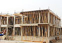 Phase I & Phase II - Shell Courtland for Shell Cooperative